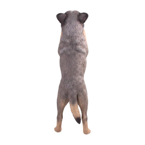 Standing Blue Heeler (Not in Aus)