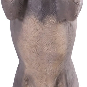 Standing Blue Heeler (Not in Aus)