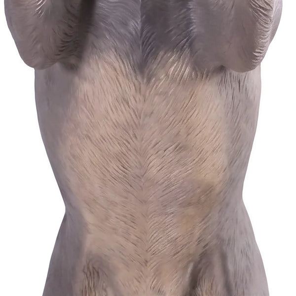 Standing Blue Heeler (Not in Aus)