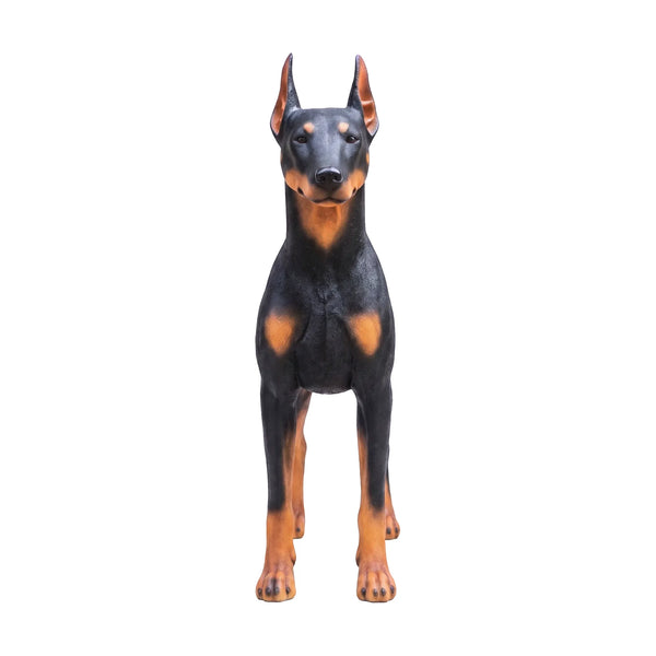 Heinimex Standing Doberman statue, realistic hand-painted black and rust finish, lifelike estate garden display style front view