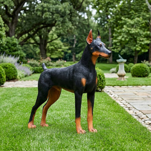 Heinimex Standing Doberman statue, realistic hand-painted black and rust finish, lifelike estate garden display lifestyle photo
