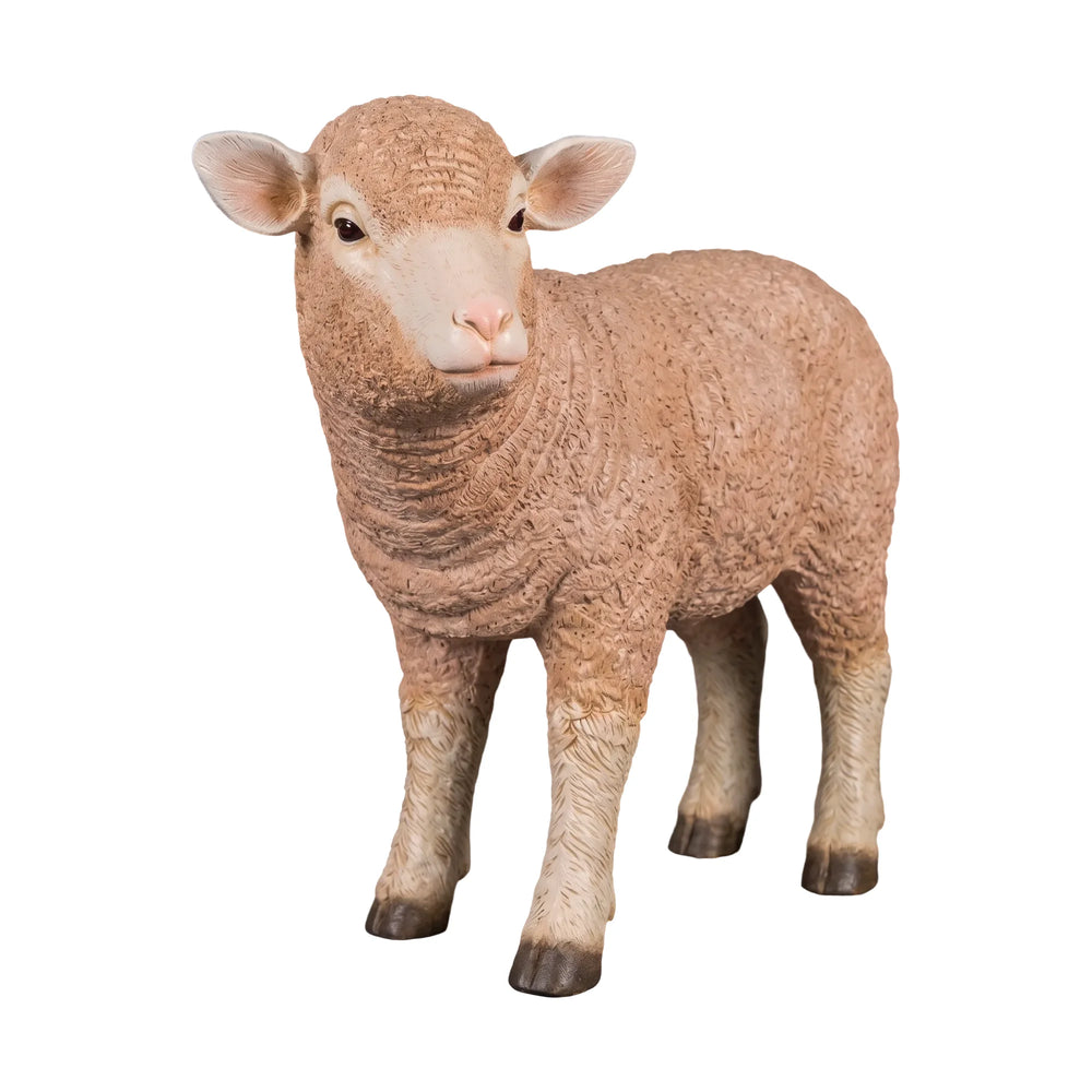Standing Merino Lamb (not in Benelux)