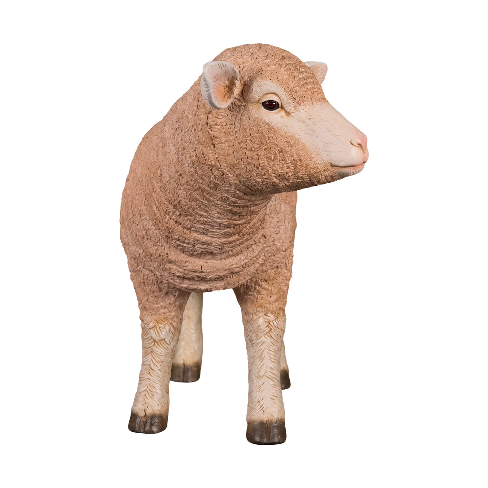 Standing Merino Lamb (not in Benelux)