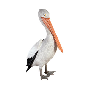 Standing Pelican (Not in AUS)