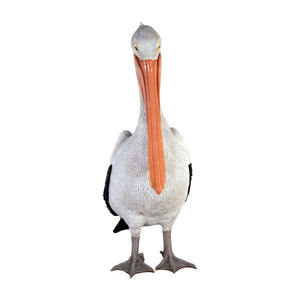Standing Pelican (Not in AUS)