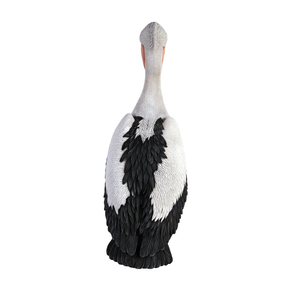 Standing Pelican (Not in AUS)