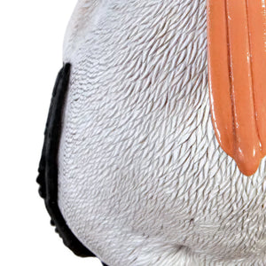 Standing Pelican (Not in AUS)