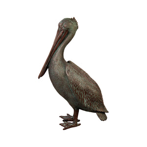 Standing Pelican (Not in AUS)