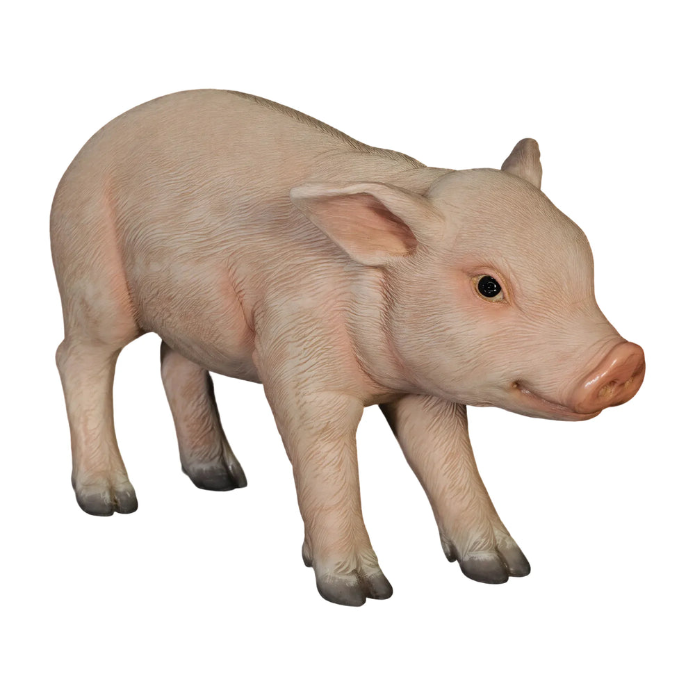 Standing Piglet