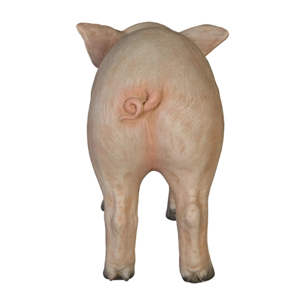 Standing Piglet