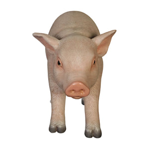 Standing Piglet