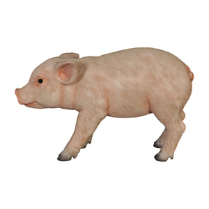 Standing Piglet