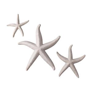 Starfish (Set of 3)