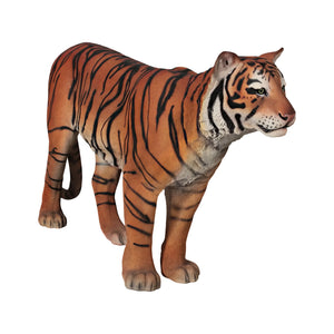 Sumatran Tiger (Not in Aus)