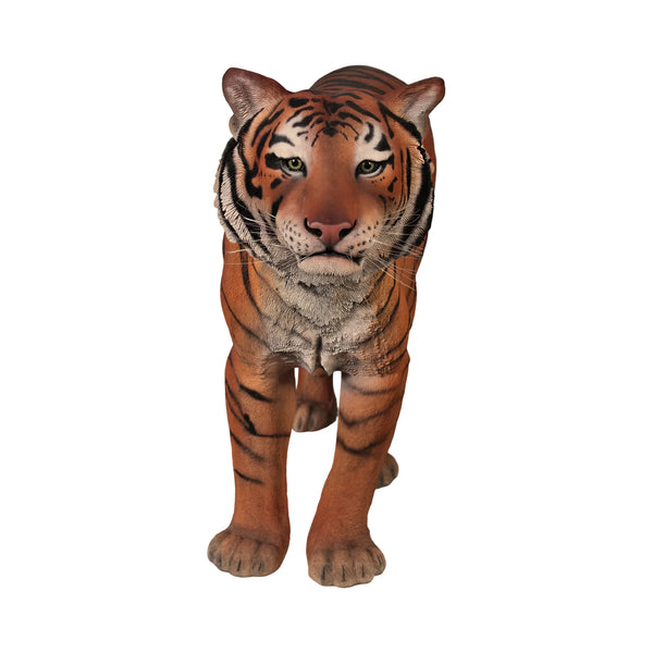 Sumatran Tiger (Not in Aus)