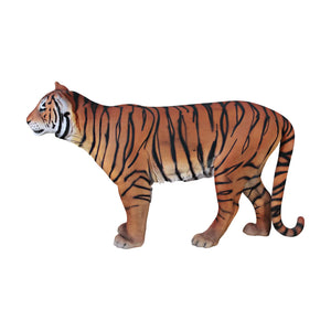 Sumatran Tiger (Not in Aus)