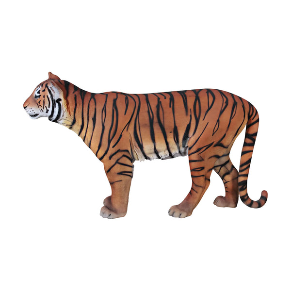 Sumatran Tiger (Not in Aus)