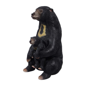 Sun Bear (not in AUS)