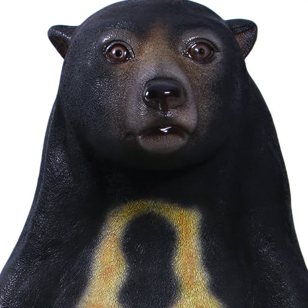 Sun Bear (not in AUS)