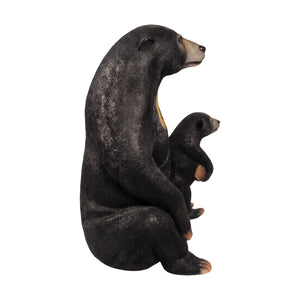 Sun Bear (not in AUS)