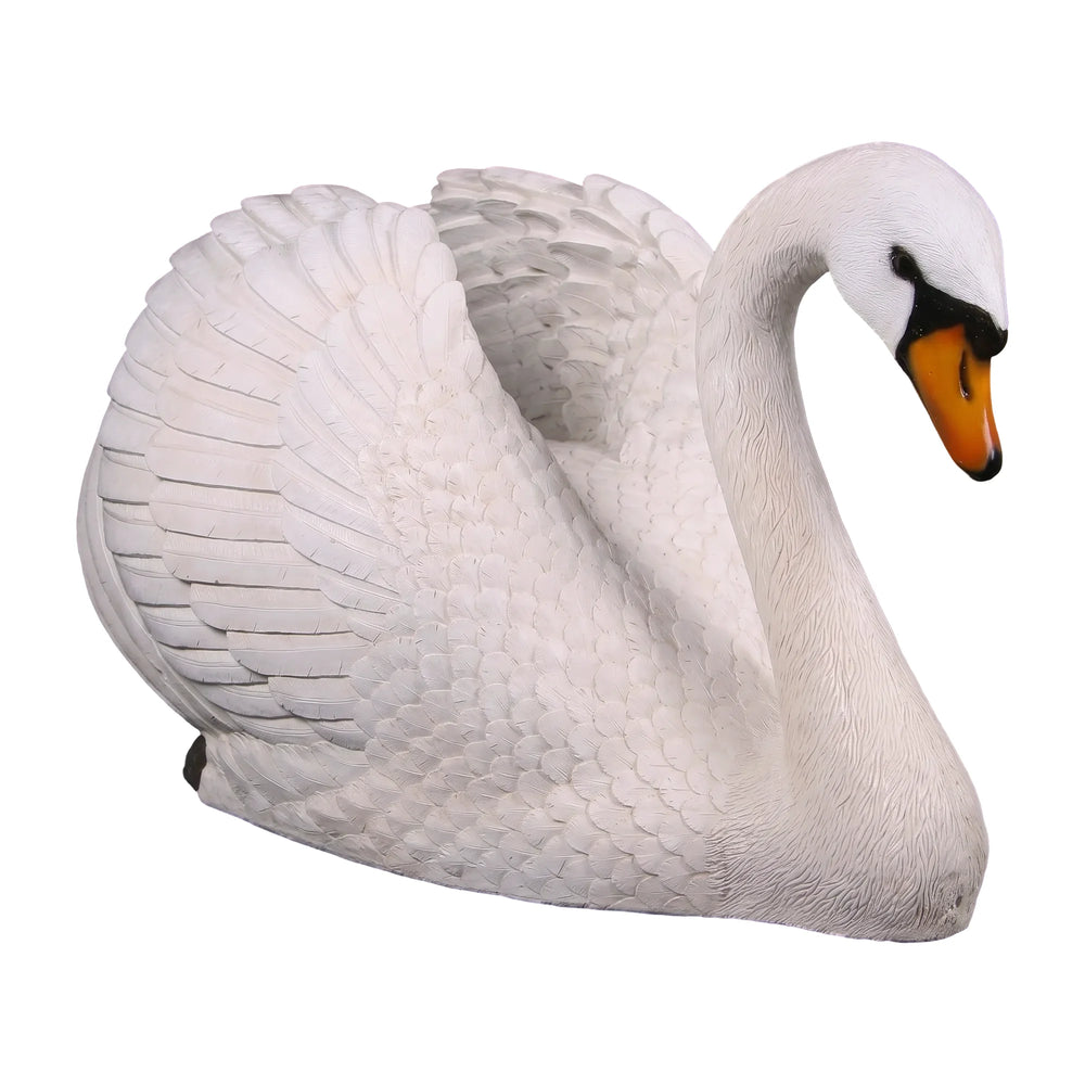Swan