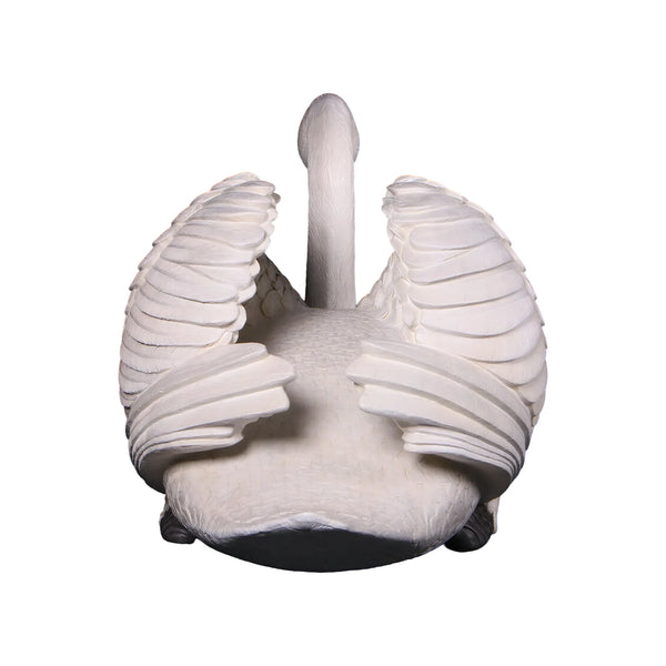 Swan