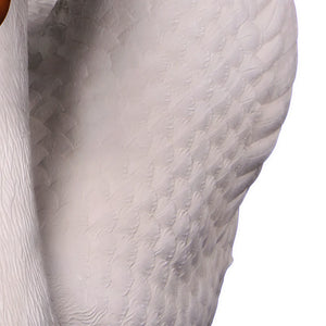 Swan