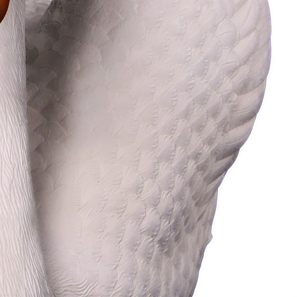 Swan