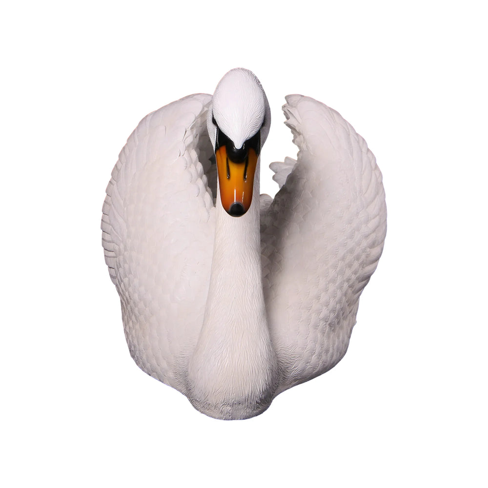 Swan