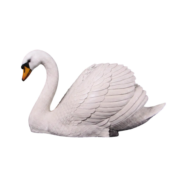 Swan