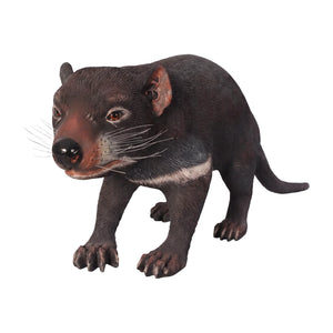 Tasmanian Devil (not in AUS)