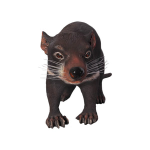 Tasmanian Devil (not in AUS)