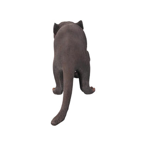 Tasmanian Devil (not in AUS)
