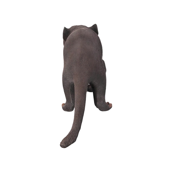 Tasmanian Devil (not in AUS)