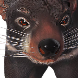 Tasmanian Devil (not in AUS)