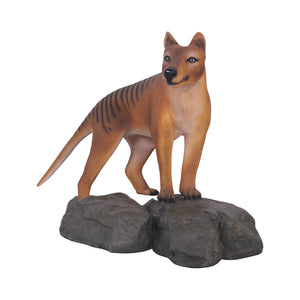 Tasmanian Tiger (Not in Aus)