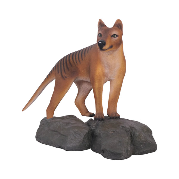 Tasmanian Tiger (Not in Aus)