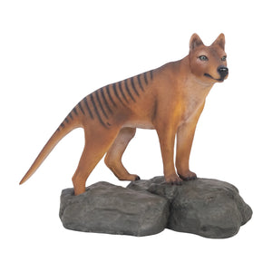 Tasmanian Tiger (Not in Aus)