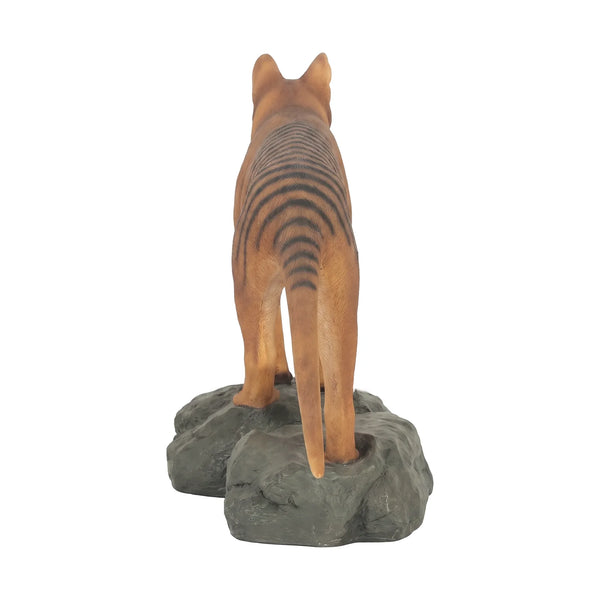Tasmanian Tiger (Not in Aus)