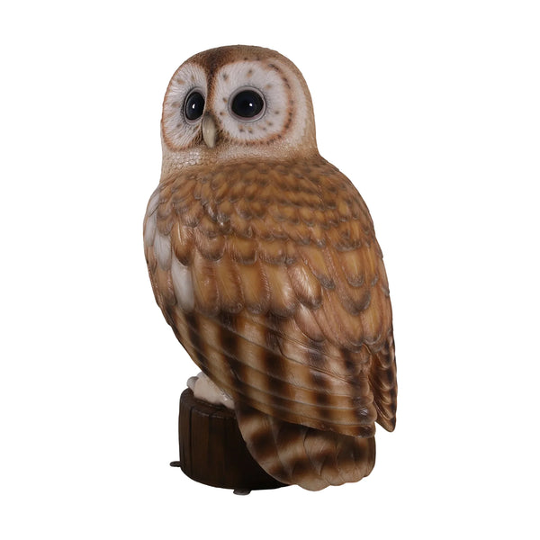 Tawny Owl 5ft. (Not in UK)