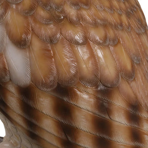 Tawny Owl 5ft. (Not in UK)
