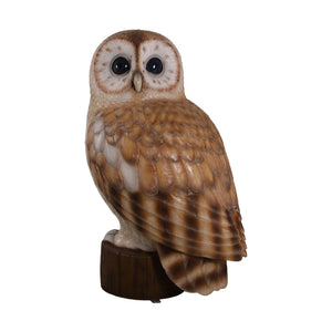 Tawny Owl 5ft. (Not in UK)