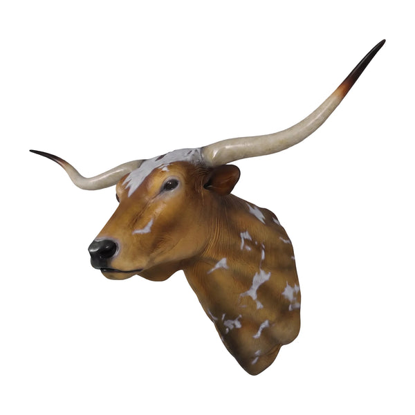 Texas Long Horn