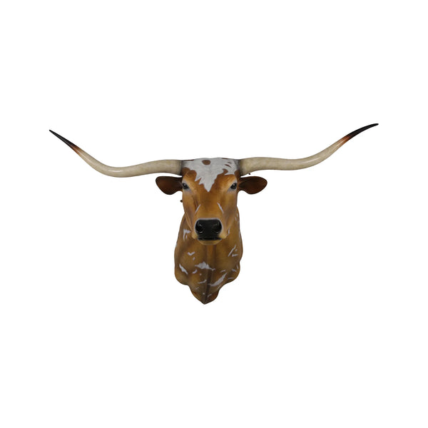 Texas Long Horn
