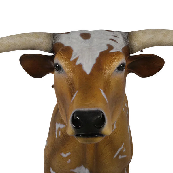 Texas Long Horn