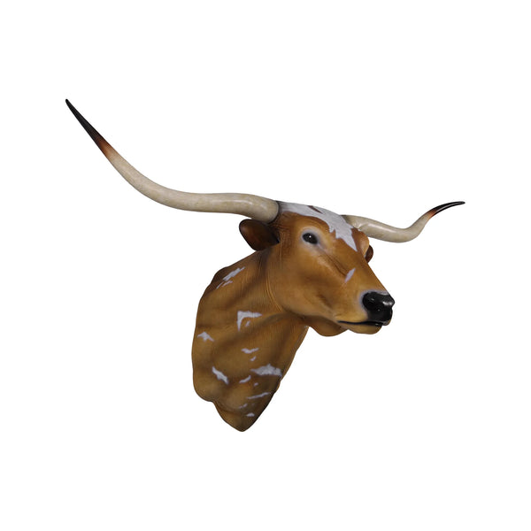Texas Long Horn