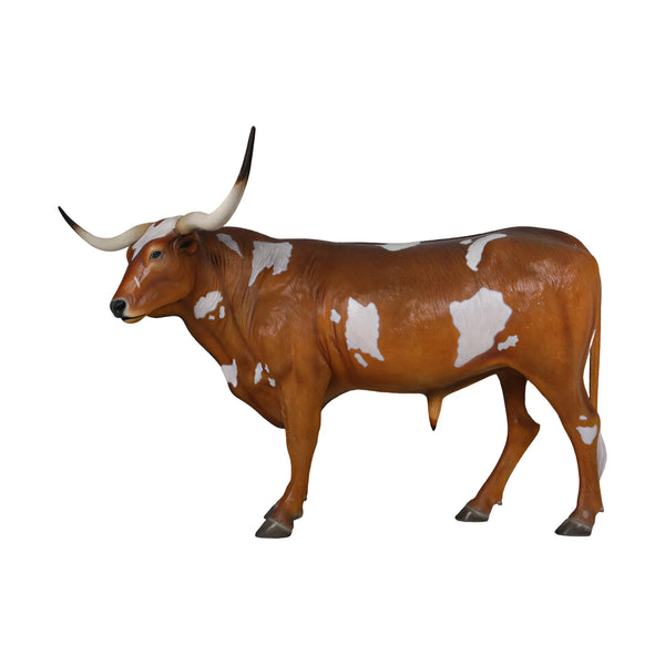 Texas Longhorn Bull