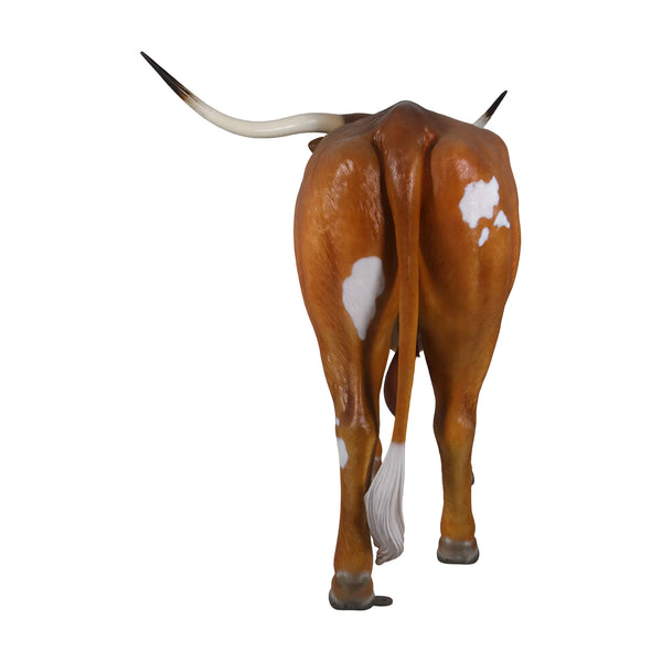 Texas Longhorn Bull