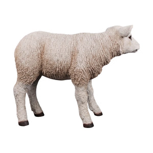 Texelaar Lamb