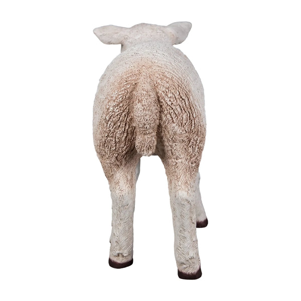 Texelaar Lamb